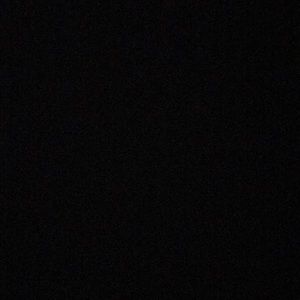 Meet your Posher, Dino